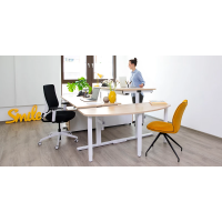 Sitz Steh Schreibtisch AVARO-P Professional mit...